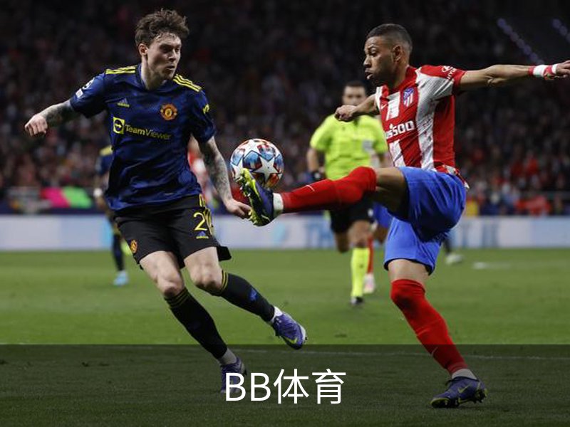 关于BB体育